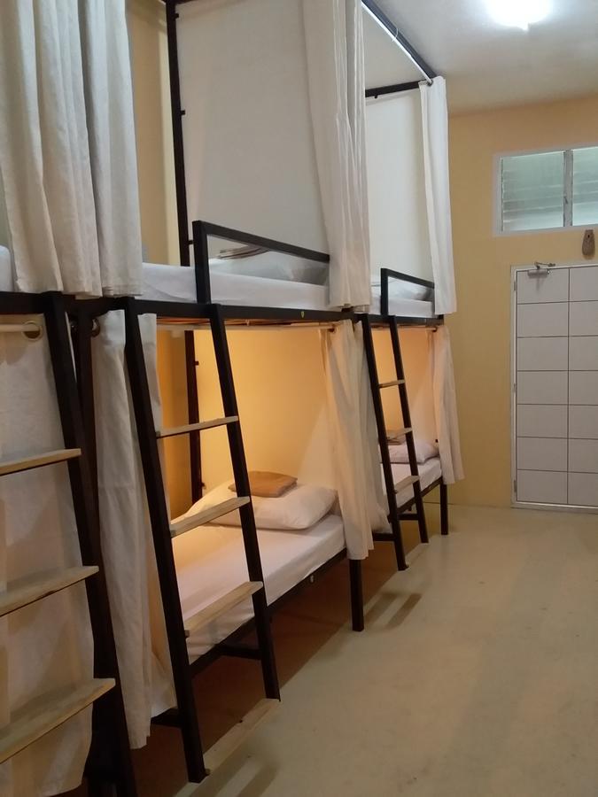 Bunk Bed in Mixed Dormitory Room